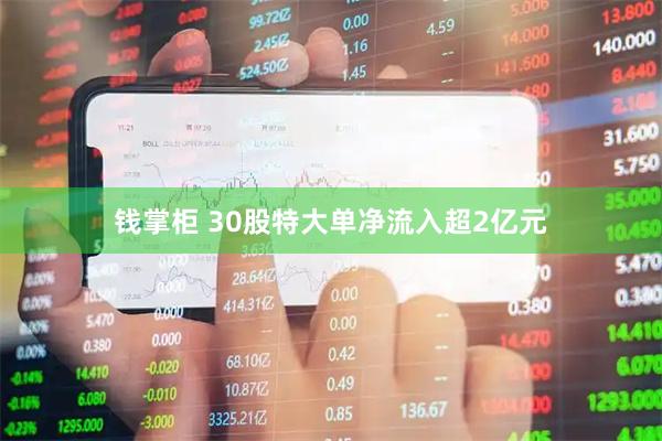 钱掌柜 30股特大单净流入超2亿元