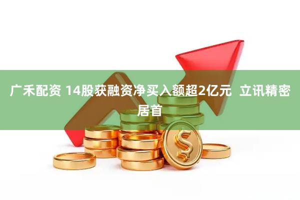 广禾配资 14股获融资净买入额超2亿元  立讯精密居首