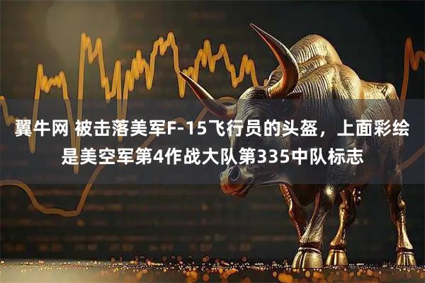 翼牛网 被击落美军F-15飞行员的头盔，上面彩绘是美空军第4作战大队第335中队标志