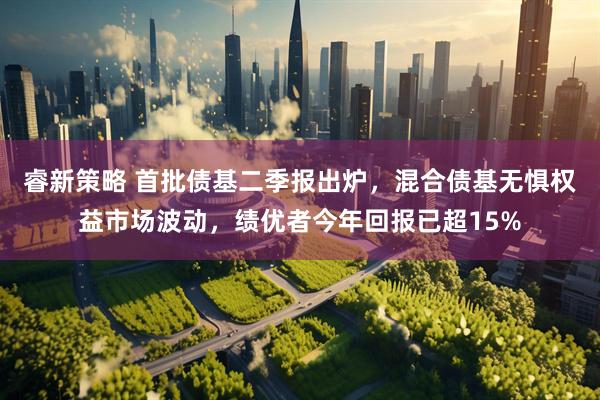 睿新策略 首批债基二季报出炉，混合债基无惧权益市场波动，绩优者今年回报已超15%